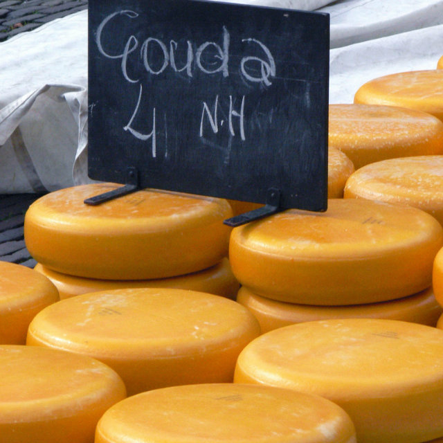 gouda